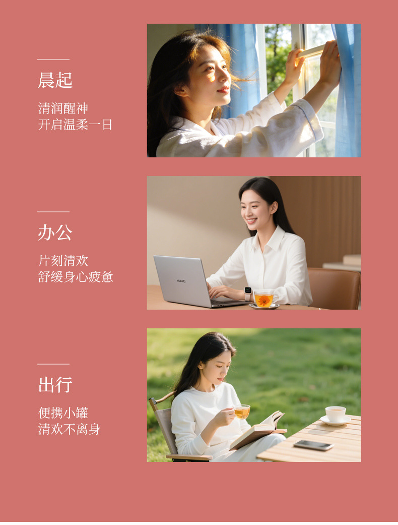 Astragalus Red Ginseng Longan Five Red Tea 10 Mini Cans Gift Box Hot Brew Herbal Flower Tea 60g preparation