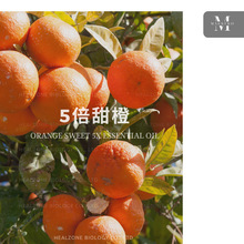 5Ⱦ Orange Sweet 5P Ӫ ڵ