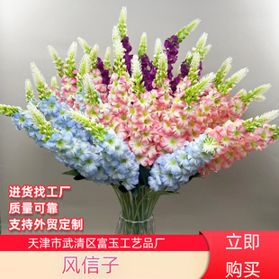 �������_�m�w����L���ӽ��~�����Q���滨��c�ҾӲ廨�b��߻�