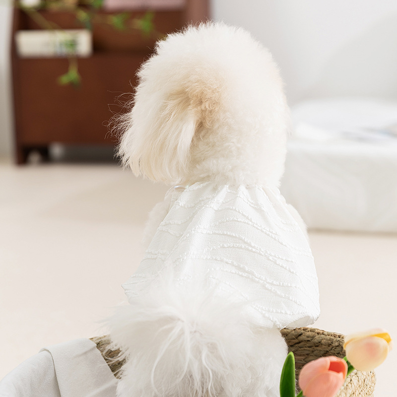 Perro primavera y verano princesa dama Jacquard cabbajo vestido de brotes de flores pequeño perro gato falda ropa de mascotas