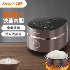 九陽F-40TD02スマート予約多機能ハイパワー鉄釜内胆炊飯器4l