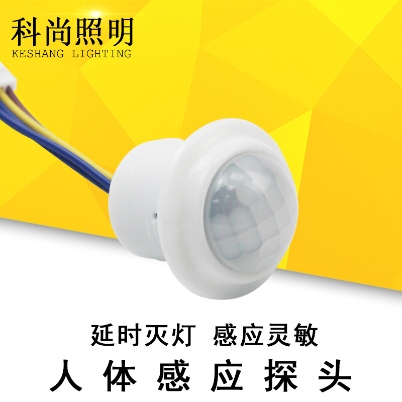 110V220V人体红外线感应开关智能一体小探头楼道LED吸顶灯感应器