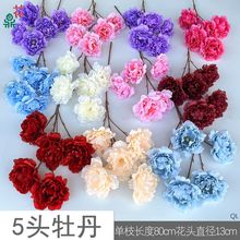 5^ĵ 3^Ԋͮĵ Y·廨 ƵzӰlٻ