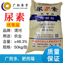 �V���ό��l؛ μ������ ������46.3% ���w��  �r������