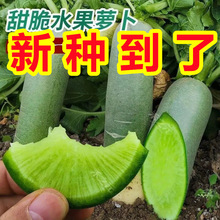 ����ˮ���}���N�����ھG��Ƥ�}�������Դ��������߲˷N���ļ����N