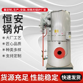 燃气锅炉;蒸汽发生器;燃油锅炉