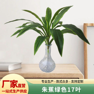 �¿�17�~�����֧�콶����ֲ�������쾰�콶�Gֲ���s�b�������