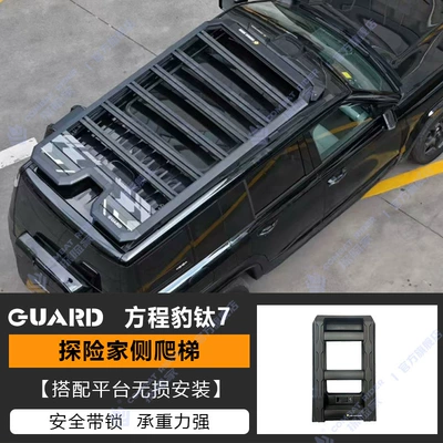 Leopard Titanium 7 Roof: Roof rack - climb-ladder
