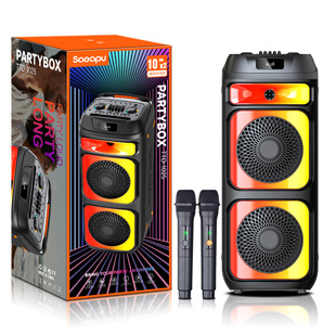 New cross-border hot-selling TTD-1025 dual 10-inch outdoor speaker subwoofer square dance dual microphones