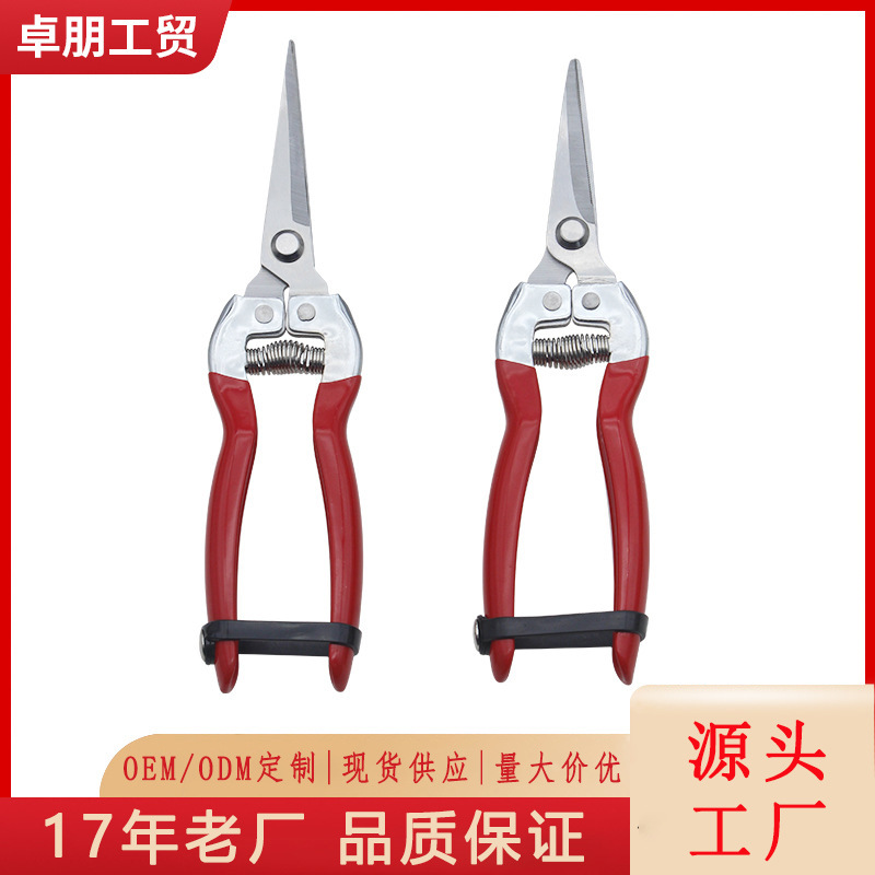 园林花园修枝剪刀 不锈钢翘头嫁接果树剪摘果园林工具园艺剪刀