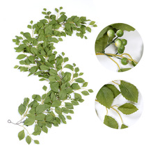 ����ֲ���ٗl �����ȼ��������Ҿ��b�Ʒ�Gɫ�����ٴ�������Gֲ