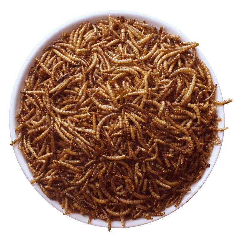 Производитель Yongsheng напрямую поставляет сушеную капусту, желтое порошковое насекомое, корму для хомяков, корму для декоративных рыб, корму для черепах