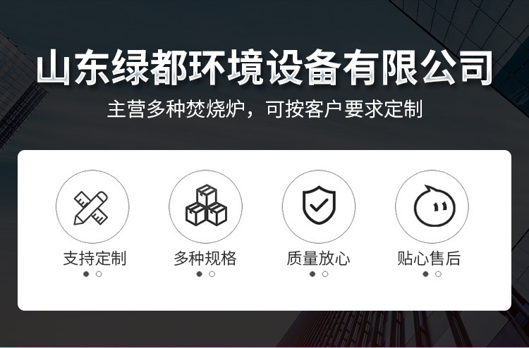 1-LDF30--50--100系列医疗焚烧炉_01.jpg