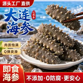海参
