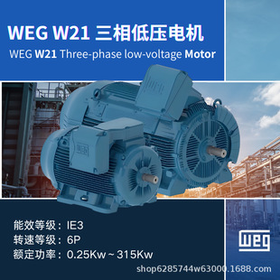 WEG�f��늙CW21ϵ��IE3��Ч��6P���ஐ���͉�0.25��315KWȫ����