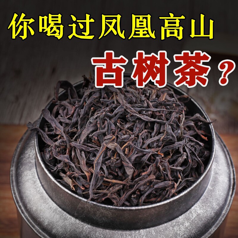 [Lao Wang wholesale] ancient tree single fir tea Chaozhou Phoenix Wuqi old fir single from Night fragrance red cake single cluster tea leaves
