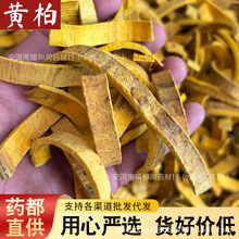 �»�Ұ���ػư��Ĵ�ȥƤ�λư��в�ҩ������ץ��һ�����������ư�