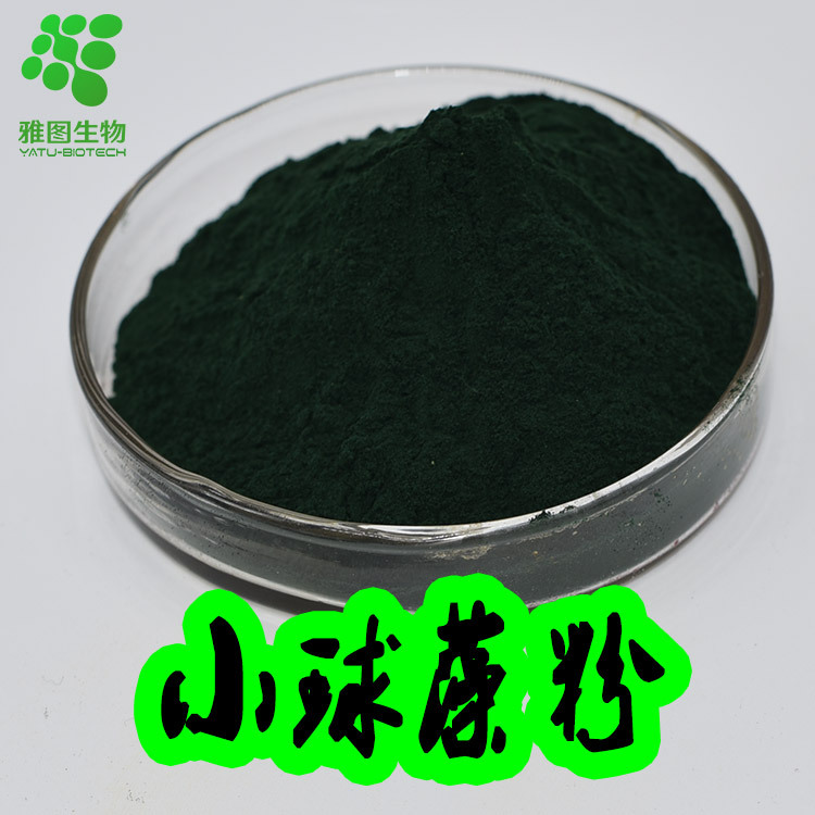 小球藻粉99% 蛋白核小球藻粉 绿藻粉 破壁小球藻提取物 食品级
