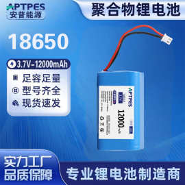 18650锂电池组 12000mah打窝船电池 垂钓遥控投饵船3.7V锂电池组