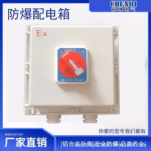 Explosion-proof distribution box explosion-proof lighting power distribution box explosion-proof control electric box aluminum alloy circuit breaker distribution appliance