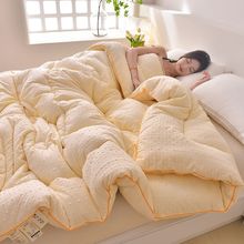 A类大豆纤维被子被芯冬被春秋被加厚保暖单人棉被空调被四季通用