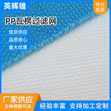 ����pp�����^�V�W���{�ӝ��������^�V�W ���o��^���� �^�V�W���l