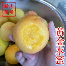 ����S��ˮ�����硿����¶�������о�����Ʒ�N�����S���Ә���