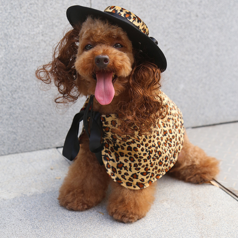 Costume di halloween per cani con mantello e cappello accessori_voghion.com