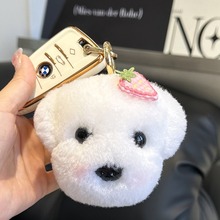 ����ë�ɰ�С������Կ�׿۹Ҽ�ins����ë�޹�����ż������������