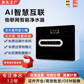 净水器家用直饮水机反渗透厨下净水机过滤器智能共享物联网净水器