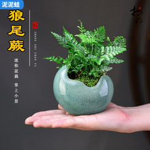 βާB҃Ȳҕ辰kGֲ[B