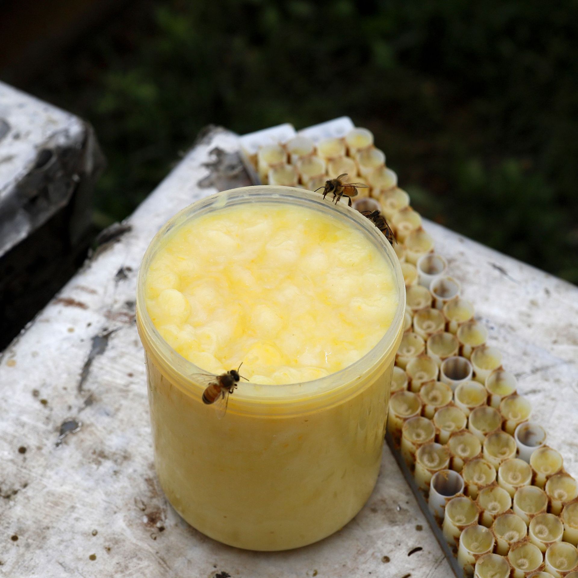 a4ab1645506a60acda1b63f7a998d4