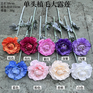 �¿����¶ɏ�����Q�S�� ���^ֲë��¶ɏ ��õ��Y·���Ҿ��b�