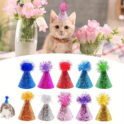 Cross border 10 Repeat Use Pets Party hats new pattern Repeat Use Pets Party hats