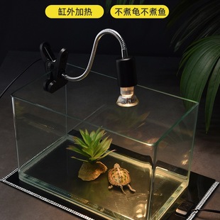 ���x�ӟ�|���n�{�������،m������ܞ���֩�붬�����ؿ؜ر�ů�|