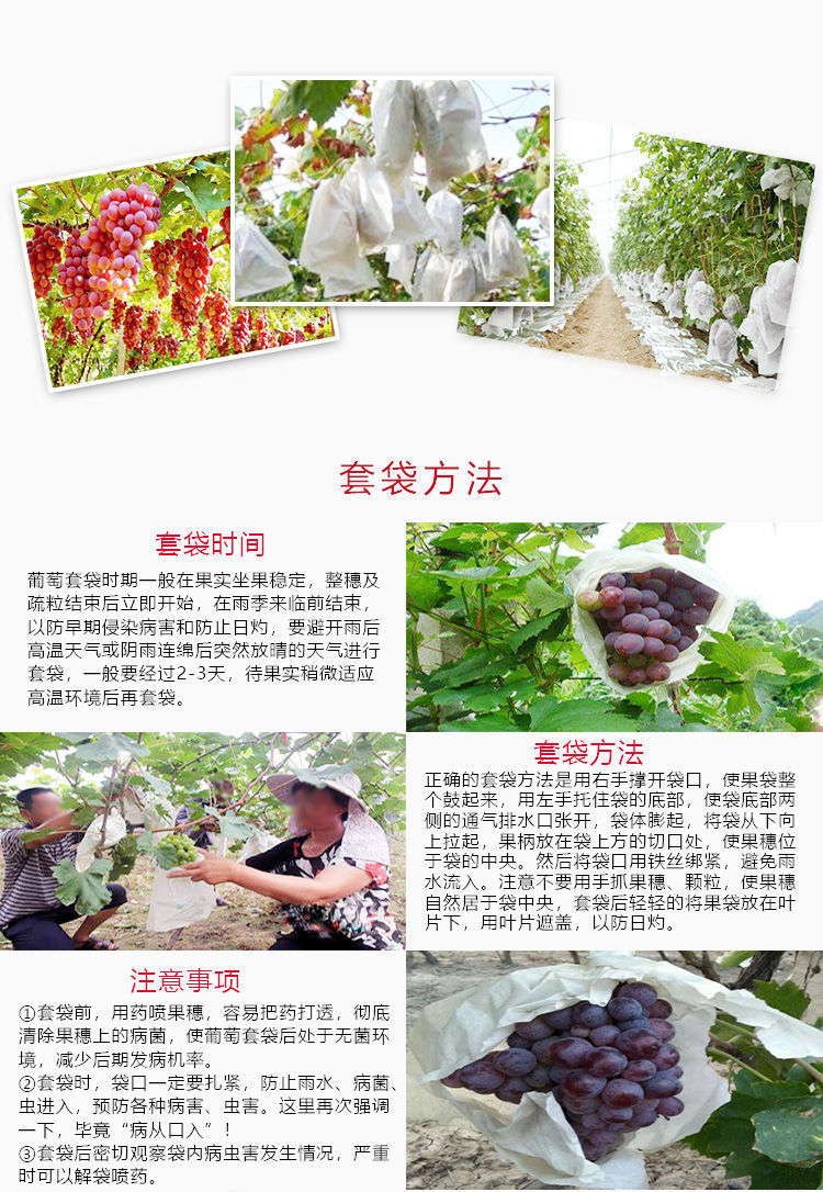 e3cbc75b-cd7f-4e09-b776-843b59aa34cf.jpe