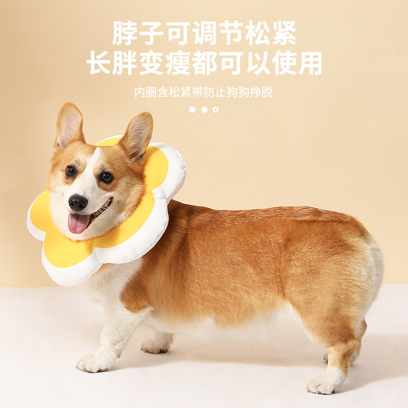 Pet girasol Elizabeth anillo gato collar perro collar esterilización vergüenza anillo anti-lamiendo anti-arañazos cubierta de la cabeza