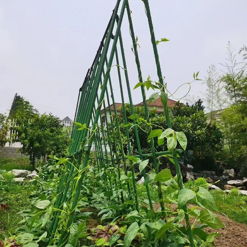 ガーデニングステントプラスチック鋼管豆角キュウリは藤のサポート棒の花園の庭の植物のトマトは藤の棚を固定します。|undefined