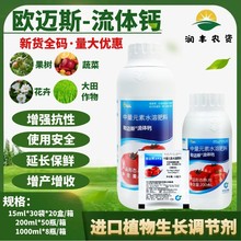 �W�~˹���w�} ������M���}�� �A���ѹ����ƹ����߲����a�~���