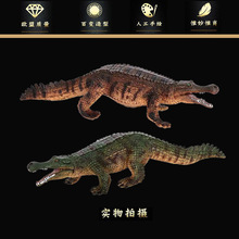 ����Ұ�����Є���ģ�� �{�~�����{ �������z��߃�ͯ�J֪�Y�� �[