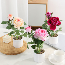 �F؛����õ�廨���^õ��С�辰�k���ҾƵ�����bٻ��������Ի�