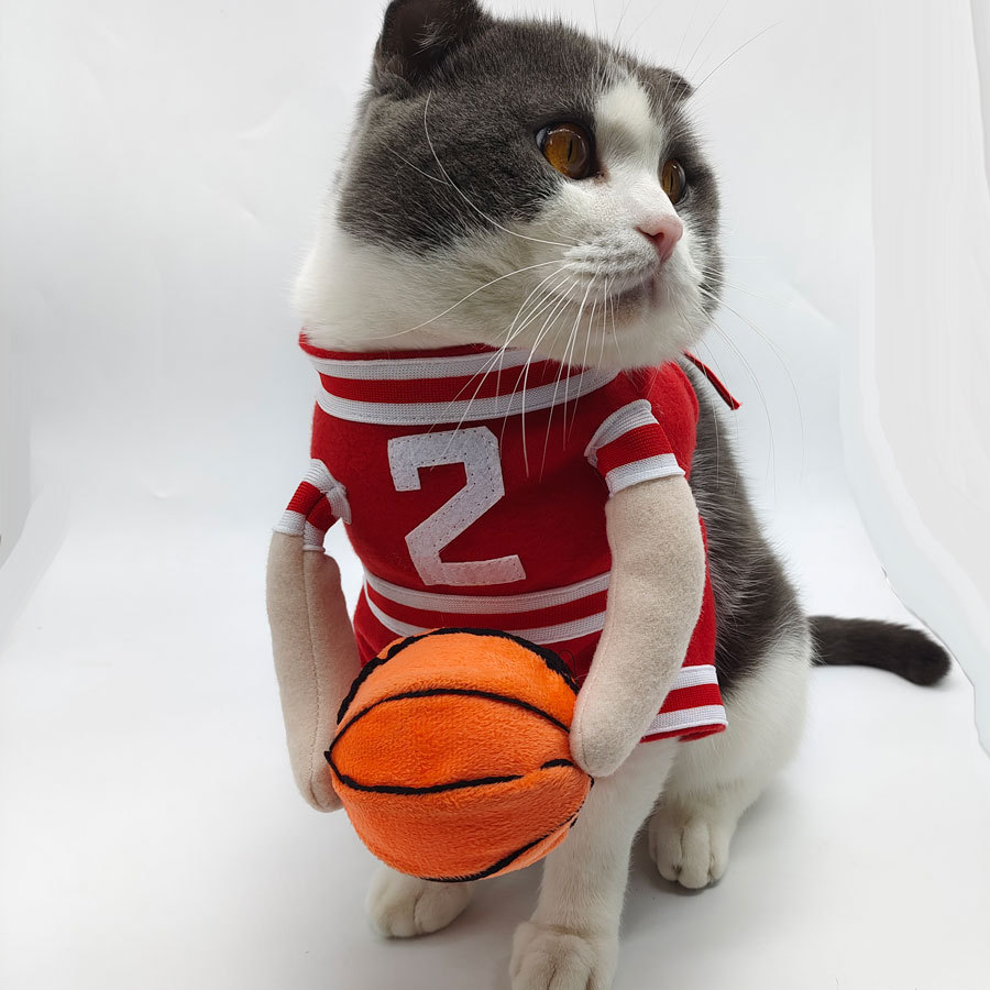 Uniforme de baloncesto No. 2