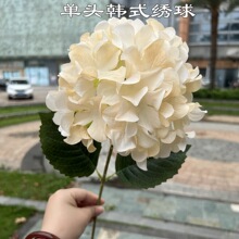 �㙉ɫ��֧�������Q ���^�nʽ���� ���潑���Yܛ�b�ٻ����l