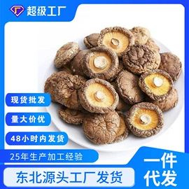 黑木耳;蘑菇;香菇