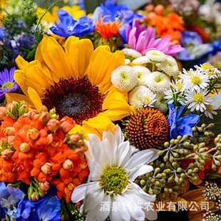 �S�����lҰ���M�ϻ��N�����ļ����N���^���������׻�ܷN��