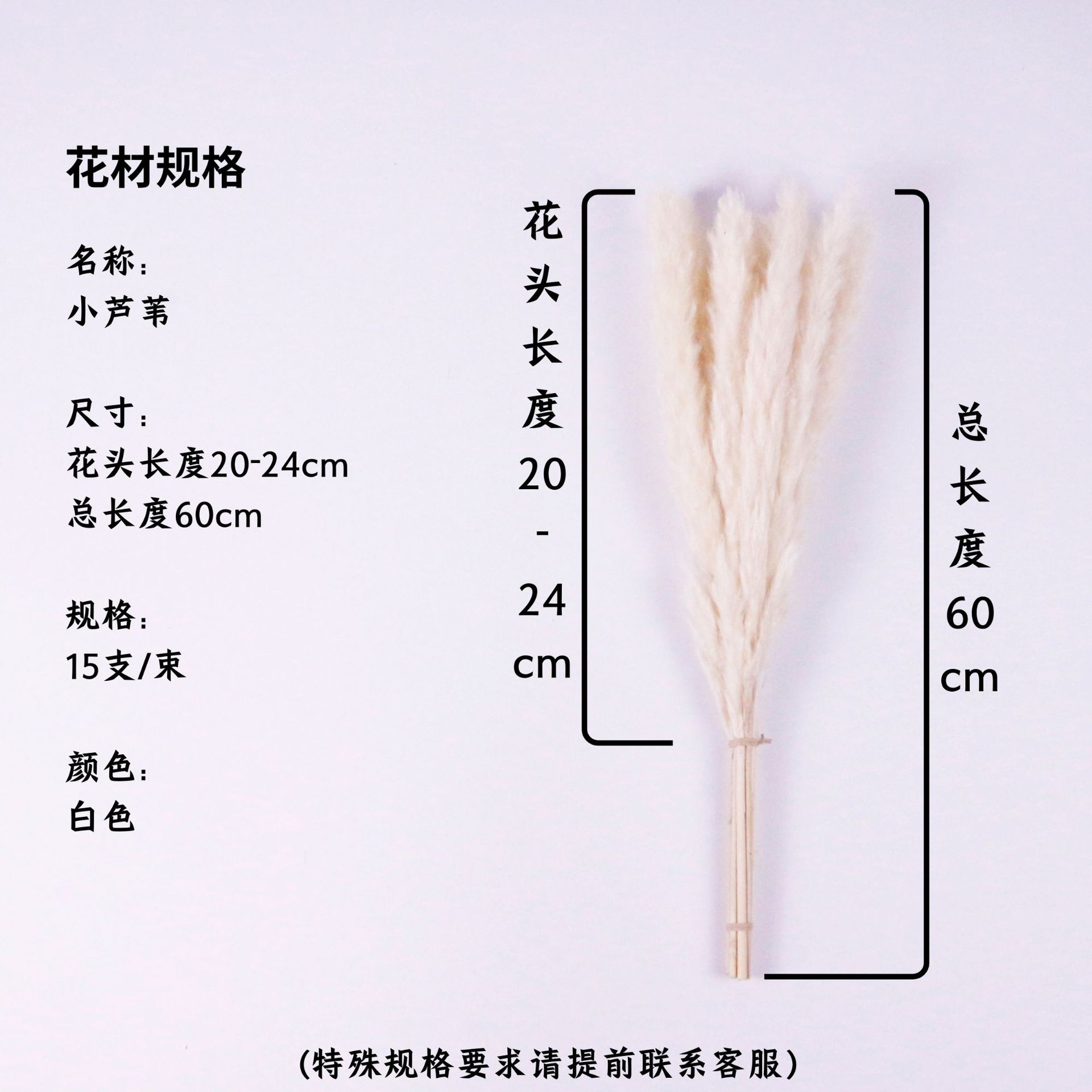 흰 꽃 머리 20-24cm