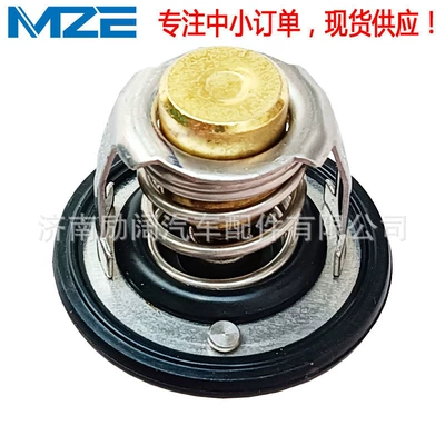 Premium Quality 17670-06g51 Thermostat