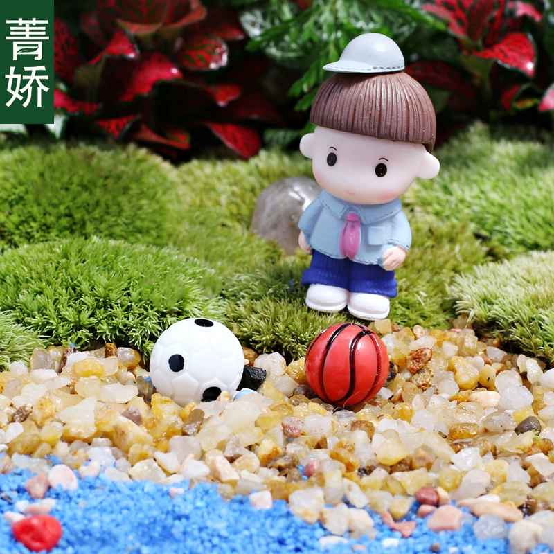 Футбол баскетбол сделал мох сочный микропейзаж DIY материал горшок Садоводство зеленые растения Цветочные украшения