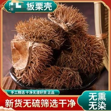 ��ș�� ������ ����Ƥ ��ë�� ����Ƥ �L���� ֧��ș�z ��ĥ��