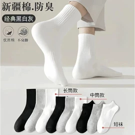 运动休闲棉袜;船袜、隐形袜;洛丽塔袜